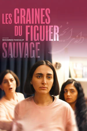 Regarder Les Graines du figuier sauvage en streaming complet