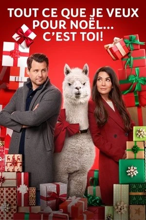 Regarder Tout ce que je veux pour Noël... c'est toi ! en streaming complet