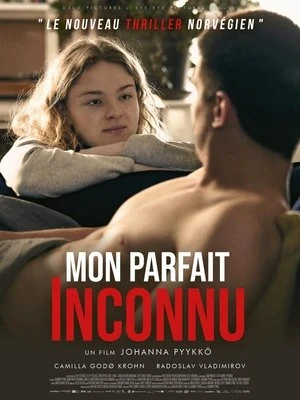  Mon parfait inconnu affiche 