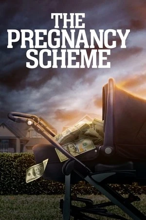 Regarder Arnaque à la grossesse en streaming complet