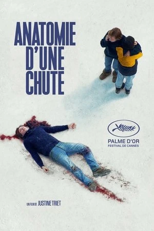 Regarder Anatomie d'une chute en streaming complet