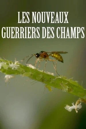 Regarder Les nouveaux guerriers des champs en streaming complet