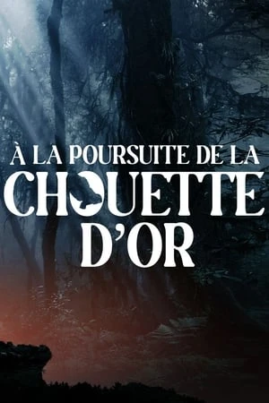 Regarder A la poursuite de la chouette d'or en streaming complet