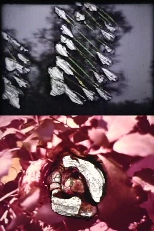 Regarder Reincarnation en streaming complet