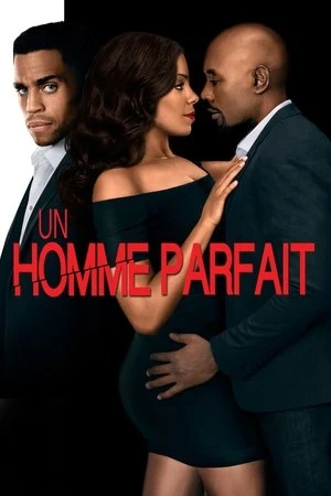 Regarder Un homme parfait en streaming complet