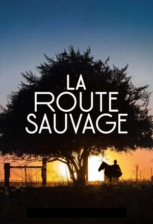Regarder La Route sauvage en streaming complet