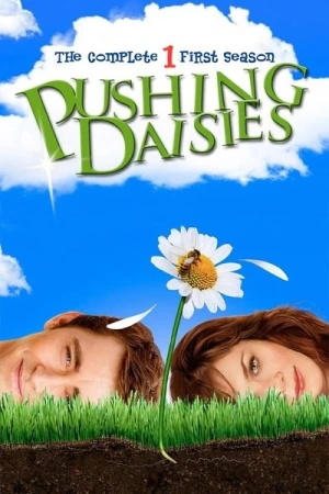 Regarder Pushing Daisies - Saison 1 en streaming complet