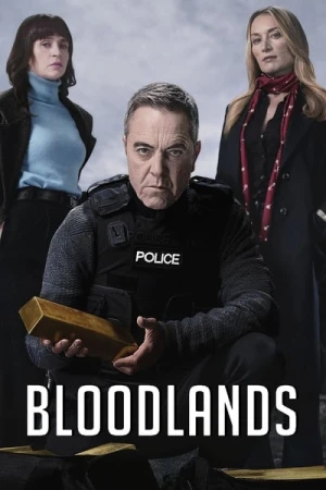 Regarder Bloodlands - Saison 2 en streaming complet