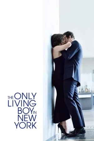 Regarder Liaisons à New York en streaming complet