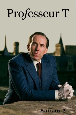 Regarder Professor T  - Saison 2 en streaming complet