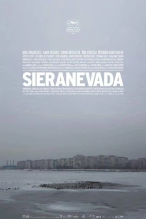 Regarder Sieranevada en streaming complet