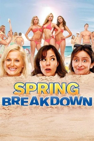 Regarder Spring Breakdown en streaming complet