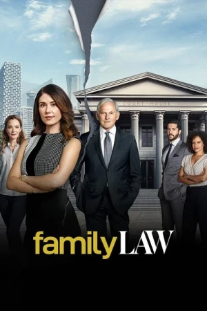 Regarder Family Law (CA) - Saison 1 en streaming complet