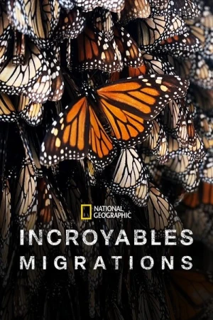 Regarder Incredible Animal Journeys - Saison 1 en streaming complet