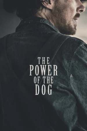 Regarder The Power of the Dog en streaming complet