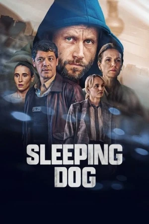 Regarder Sleeping Dog - Saison 1 en streaming complet