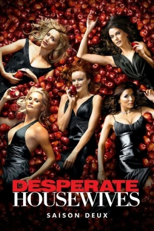 Regarder Desperate Housewives - Saison 2 en streaming complet