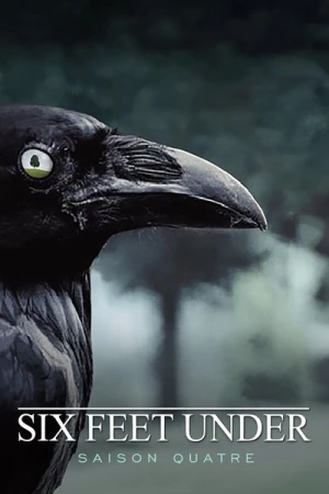Regarder Six Feet Under - Saison 4 en streaming complet