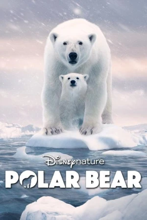 Regarder Ours polaire en streaming complet