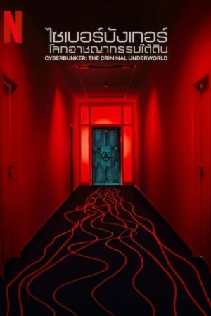Regarder Cyberbunker : Les dessous du darknet en streaming complet