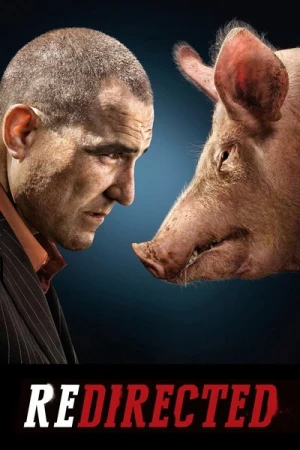 Regarder Redirected en streaming complet