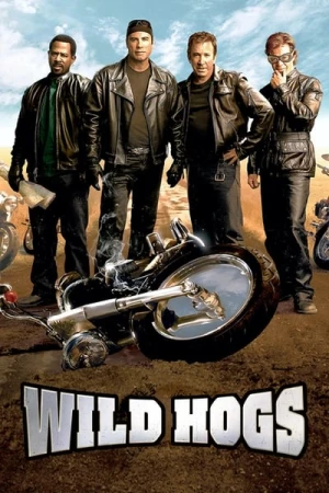 Regarder Bande de sauvages en streaming complet