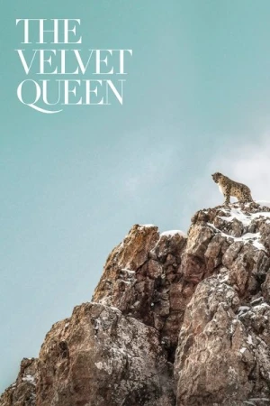Regarder La Panthère des neiges en streaming complet