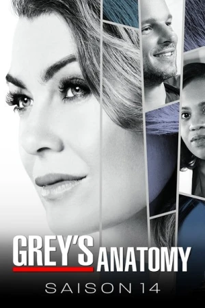 Regarder Grey's Anatomy - Saison 14 en streaming complet
