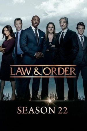  New York, Police Judiciaire - Saison 22 affiche 
