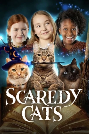 Chabracadabra - Saison 1 affiche 