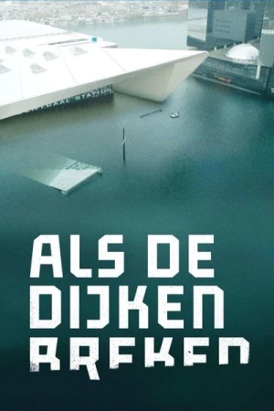  The Swell - Saison 1 affiche 
