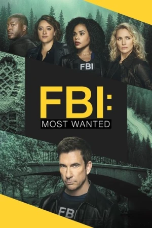 Regarder FBI: Most Wanted - Saison 5 en streaming complet
