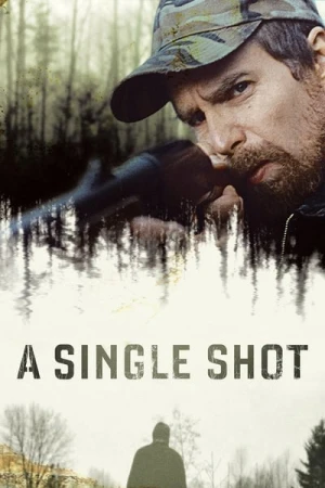 Regarder A Single Shot en streaming complet