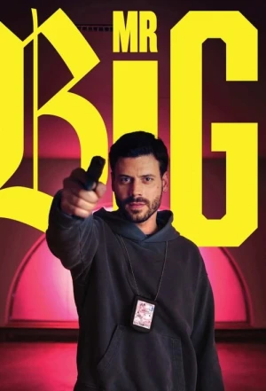 Regarder MR BIG - Saison 1 en streaming complet